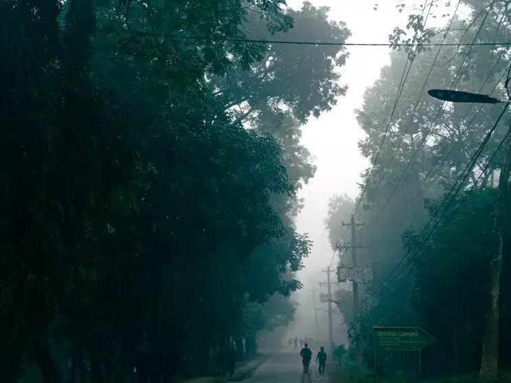কুয়াশাভোরে চুয়েট ক্যাম্পাসের পথ